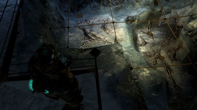 File:Excavation tau volantis ground.jpg