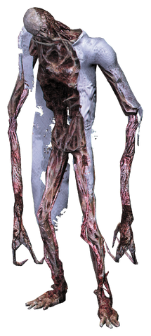 File:Divider ds2.png