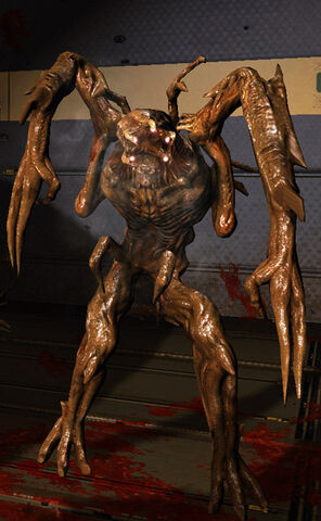 Файл:Ubermorph.jpg