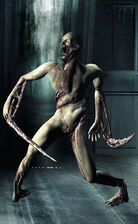 Slasher twisted