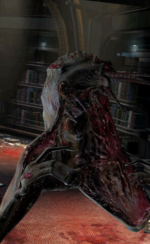 Archivo:InfectorDS2.jpg