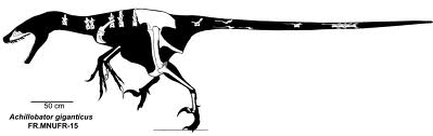 File:Achillobator.jpg