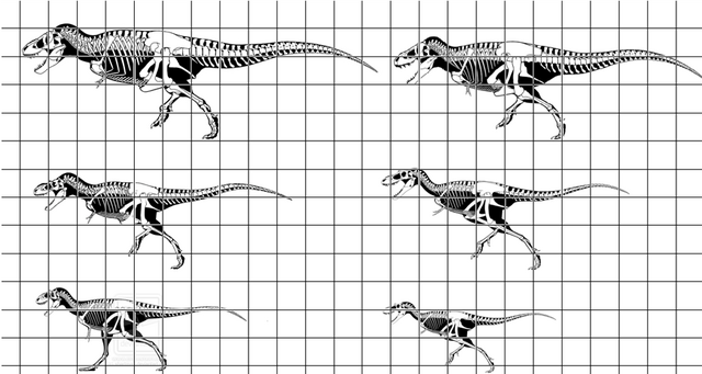 File:Tyrannosauridae.png