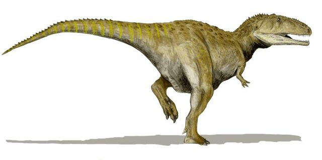 File:Mapusaurus2.jpg