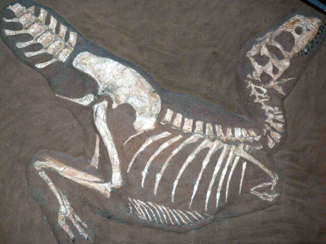 File:TarbosaurusP1050352.jpg