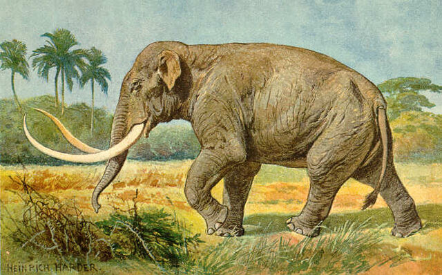 File:Mammuthus imperator.jpg