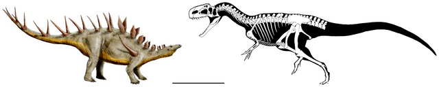 File:Kentrosaurus vs Monolophosaurus.png