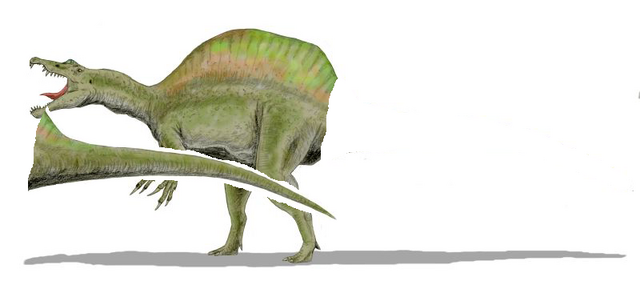 File:Spinosaurus B.png