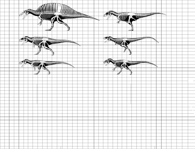 File:Theropod size.jpg