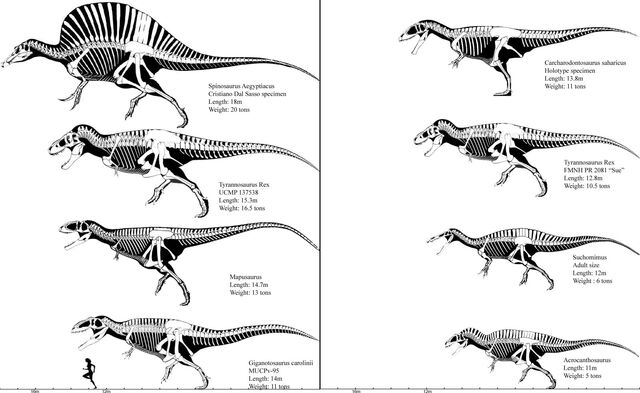 File:9JPlx.jpg
