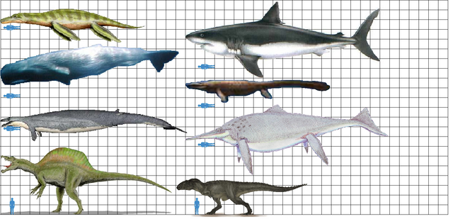 File:Largest predators 2.png