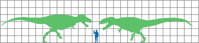 File:Tyranno Giganoto scale.png