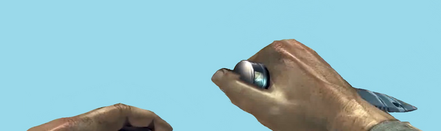 File:Melee FPS DT2.png