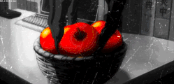 5e814ec6ecac44365331daa33ff963c37195839d hq.gif