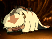 Appa (Headband)