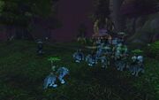 WSB Ashenvale line-up back-in-the-day
