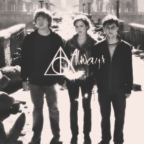 File:The golden trio.jpg