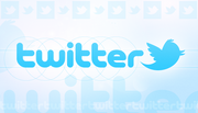 New bird 534
