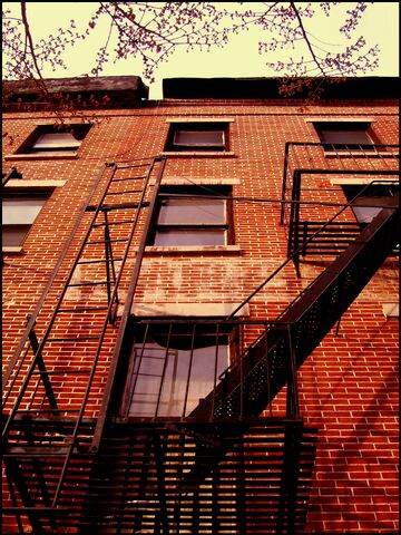 File:Spring 2009 047.jpg