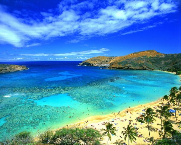 File:Hawaii-beach-water1.jpg