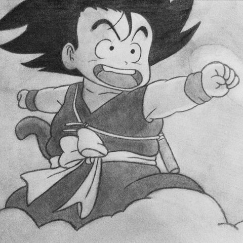 File:Lookinlikegoku.jpg