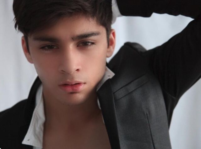 File:280981-szayn-malik.jpg