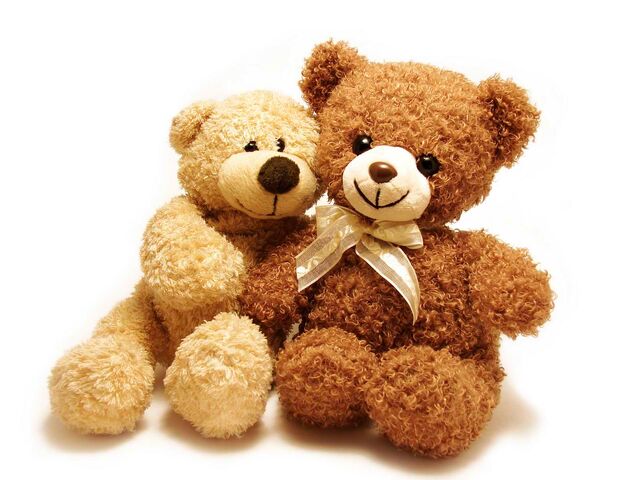 File:Beary Best Friends.jpg