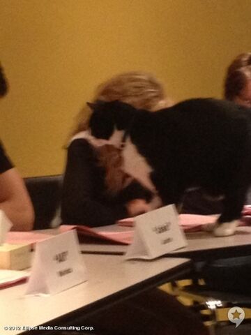 File:122932readthrough5.jpg