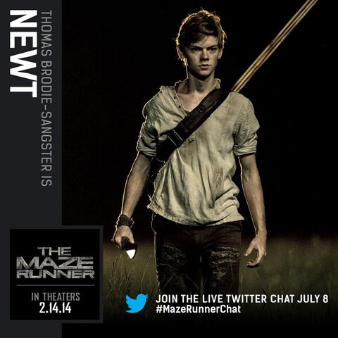 File:Newt.jpg