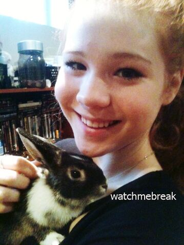 File:Bunny.jpg