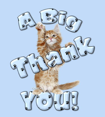 File:Thank you 052.gif