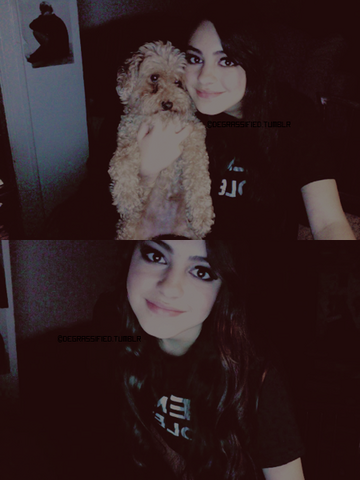 File:Tumblr lflbdpSlq01qeegx8o1 500.png