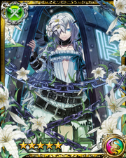 Ironclad Aira SR
