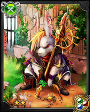 Student Rabbit Vanish NN++