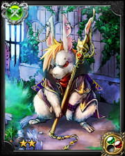 Student Rabbit Vanish NN+