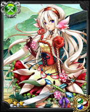Rose Princess Marie NN++