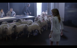 Sheepatevaluation