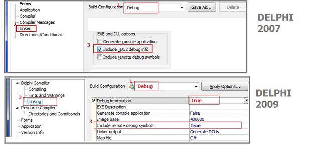 File:Delphi project options remote debug.jpg