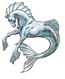 Hippocampi