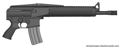 Slayer Assult Rifle
