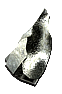 Large Sharpstone Shard