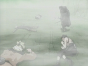 Narutoleevsraiga