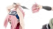 SakuraHaarab02.jpg