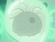 SichibiBaby.png