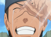Irukafolge176.png
