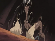 Narusakuvsarashi2.png