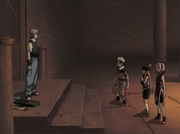 Narusakuvsarashi.png
