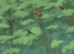 Narutovsgaara1.png