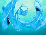 Team9vskisame6.png
