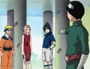 Sasukenarusakulee.png